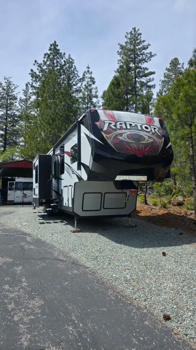 This large Raptor fifth-wheel RV rental is parked in a scenic campsite among tall pine trees, ready for an outdoor adventure.. Keystone RV Raptor Toy Hauler 2015