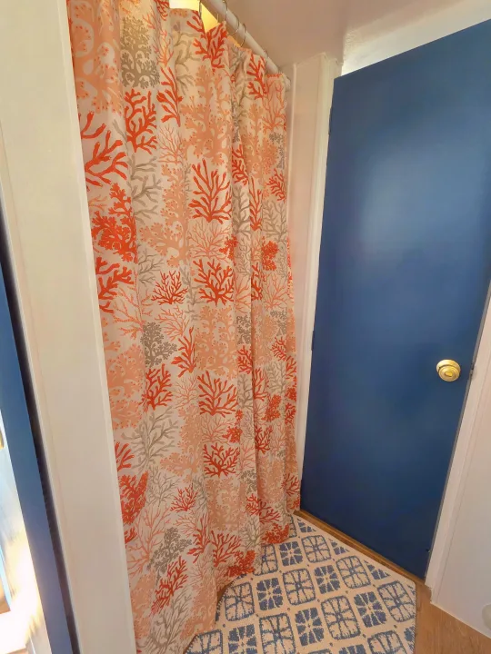 Coral shower curtain (orange, grey on white), blue door, and blue/beige patterned rug in a stylish RV rental bathroom.. Sunline Solaris 2002