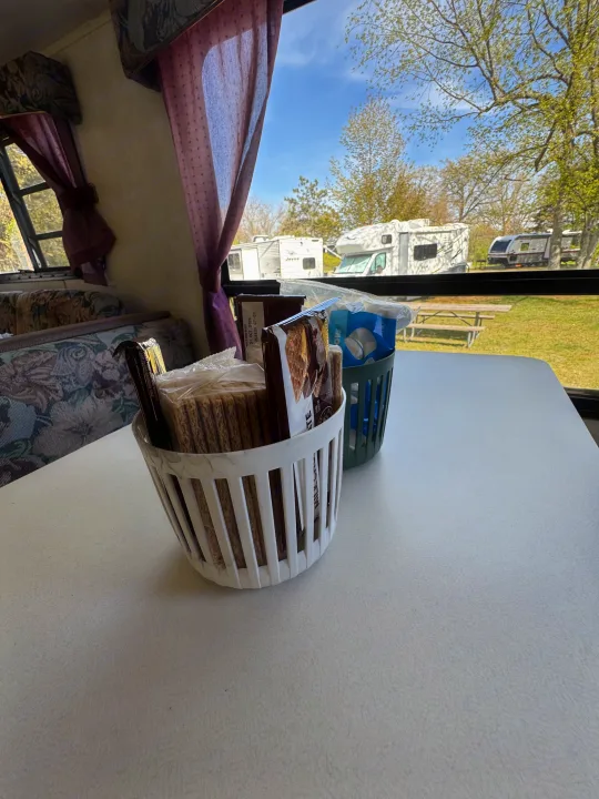 Inside an RV rental, s'mores ingredients and snacks sit on the table, with other RVs visible at the campground.. Forest River Wildwood 2000