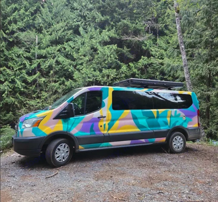 Colorful custom painted rv rental camper van in a lush forest, ideal for nature getaways.. Ford Transit 2017
