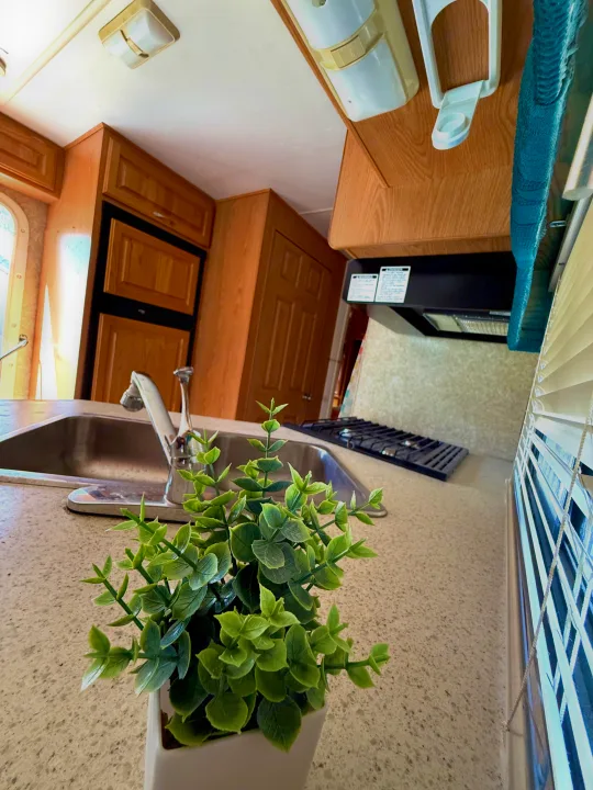 Well-equipped rv rental kitchen: sink, stove, fridge, and a bright plant on the counter.. Four Winds 5000 2005