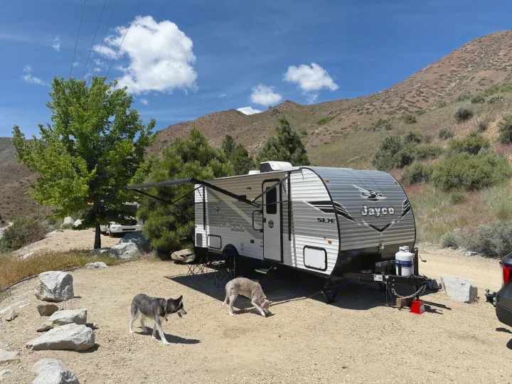 Two dogs at a gravel rv rental campsite with a Jayco travel trailer, mountains, and trees under a blue sky.. Jayco Jay Flight SLX Baja Edition 2025