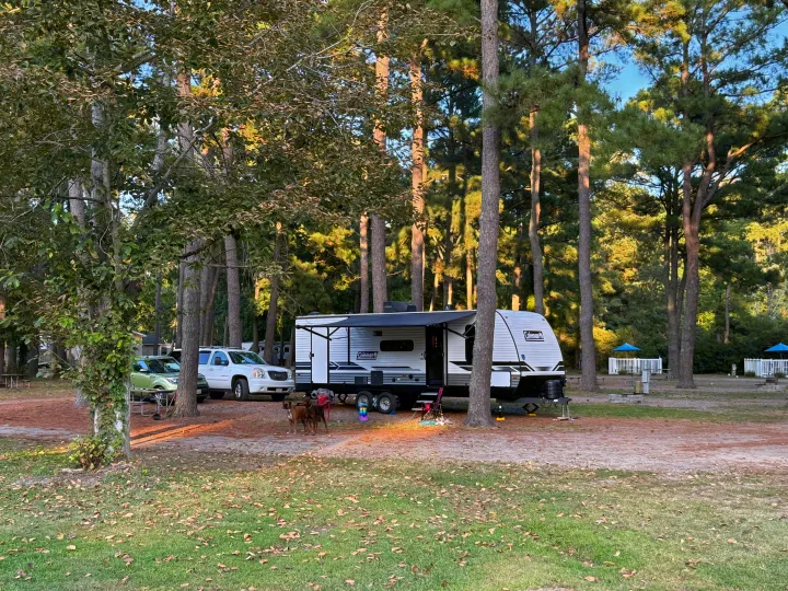 Scenic RV rental campsite with a white travel trailer, two dogs, and vehicles nestled among tall pine trees. Ideal for camping.. Dutchmen Coleman Lantern LT 2024
