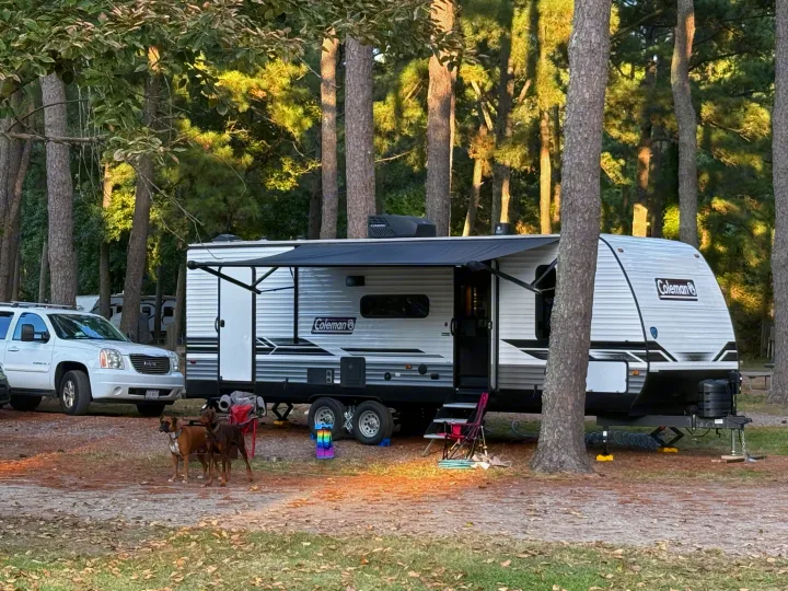 RV rental campsite with a white travel trailer, SUV, and two dogs among tall pine trees for a nature getaway.. Dutchmen Coleman Lantern LT 2024