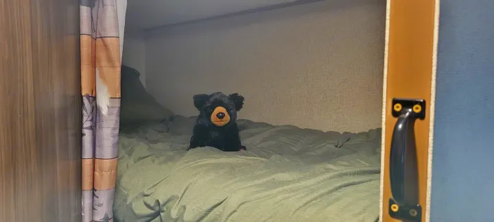 Cute black bear plush on a cozy green bunk bed inside an RV rental. A patterned curtain and door frame the scene.. Coachmen Apex Nano 2017