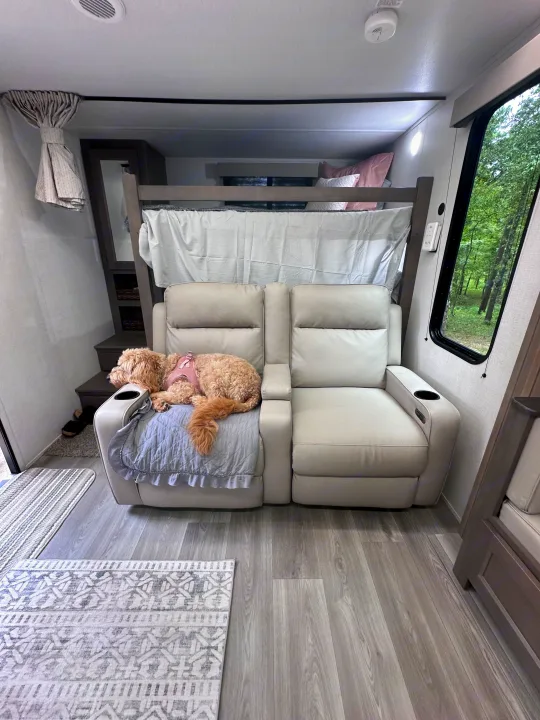 Cozy RV rental interior: A fluffy dog naps on a light grey recliner sofa, with bunk beds above and nature views outside.. Grand Design Transcend Xplor 2024