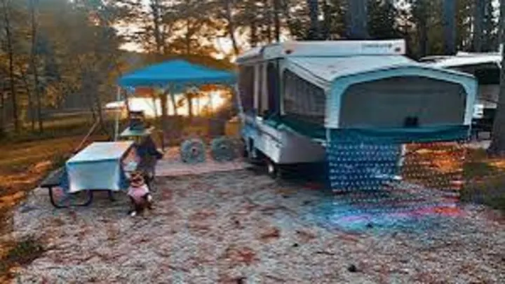 RV rental adventure: A pop-up camper set up at a scenic campsite, with a blue canopy, picnic table, and a small dog.. Jayco Qwest 2004