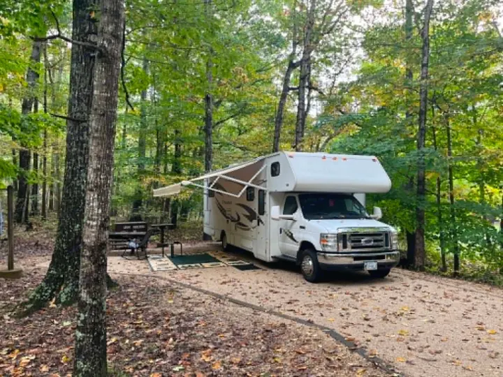 RV rental parked at a tranquil, leaf-covered forest campsite with an extended awning and picnic table.. Winnebago Chalet 2014