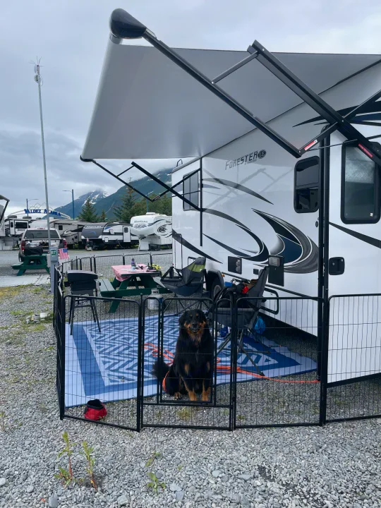 RV rental setup in Valdez, Alaska, featuring a black & tan dog in a fenced outdoor living space.. Forester LE 2022