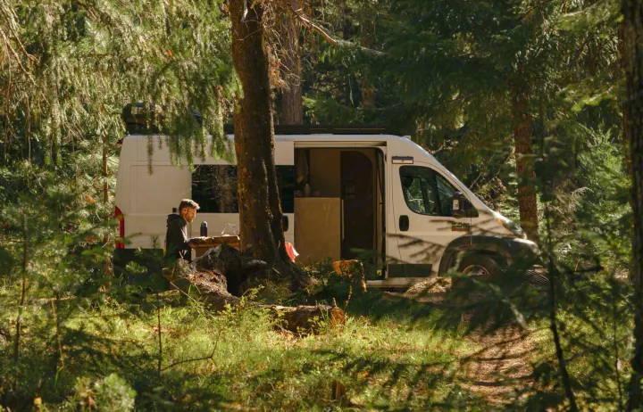 RV rental: A man works on his laptop by a white camper van, parked amidst tall pines in a serene forest.. Dodge Ram 1500 2021