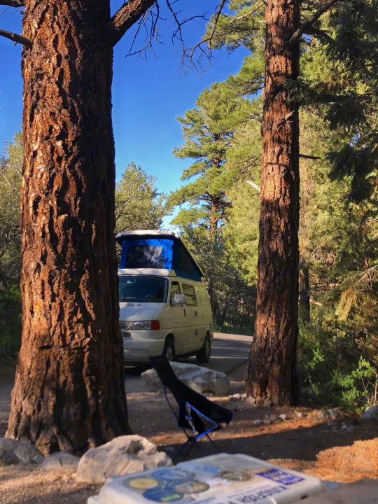 White pop-top RV rental van parked among tall pine trees in a sunny forest campsite, with a blue camping chair nearby.. Winnebago Eurovan Camper Eurovan Camper 1997
