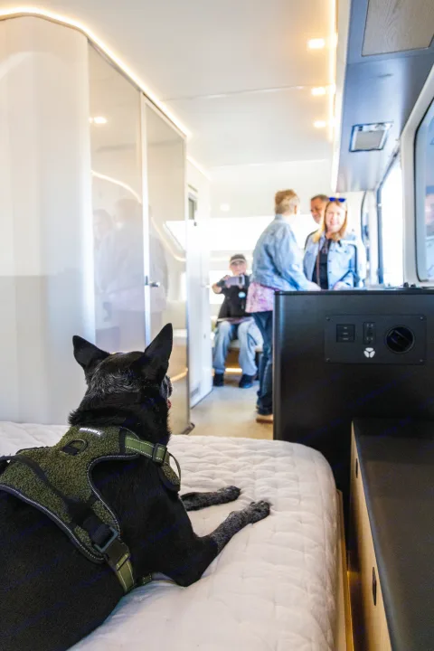 A black dog in a harness lies on a plush bed inside a spacious modern rv rental, looking at blurred people in the cabin.. Pebble Flow 2026