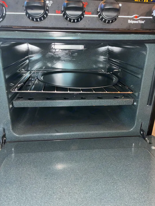 Explore cooking options in your RV rental! An open Wedgewood Vision oven features a pizza pan on the top rack, perfect for meals.. Forest River Coachmen Freelander 2015