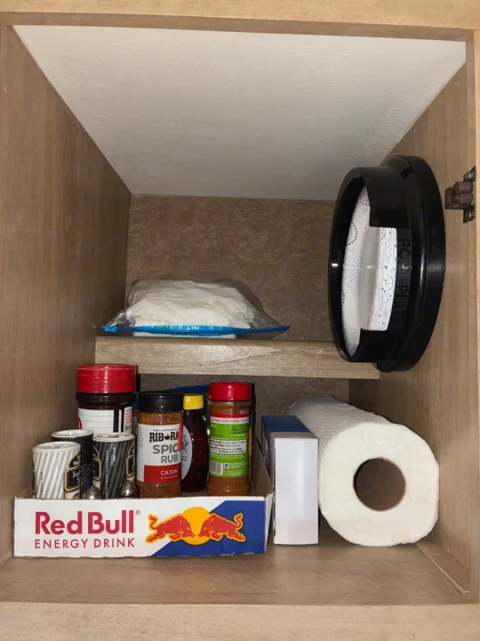 RV rental kitchen cupboard: Red Bull box holds spices, next to paper towels, and plates in Pop-A-Plate dispenser.. Forest River Coachmen Freelander 2015