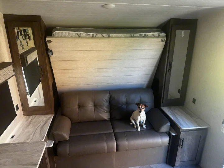 Small, alert dog on a brown sofa in a modern rv rental. Above, a Murphy bed is folded, flanked by cabinets & mirrors.. Forest River Wildwood X-Lite 2021