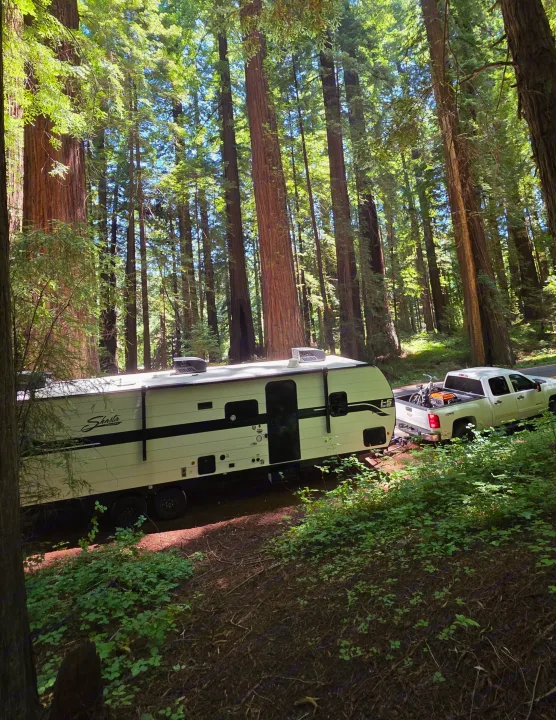 A white Shasta RV rental travel trailer and pickup truck, with a bike in the bed, parked among towering redwood trees.. Forest River Shasta I-5 2025