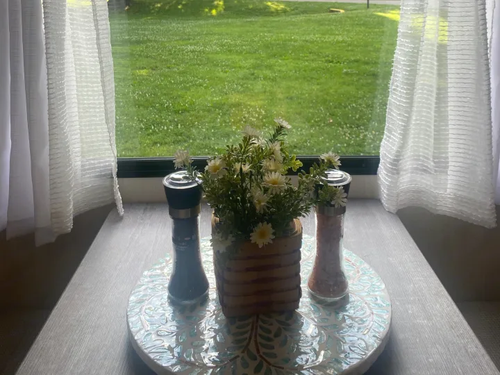 Serene RV rental view: White curtains frame a lush green campsite with trees. A table holds flowers and spice grinders by the window.. Forest River Vibe 2021