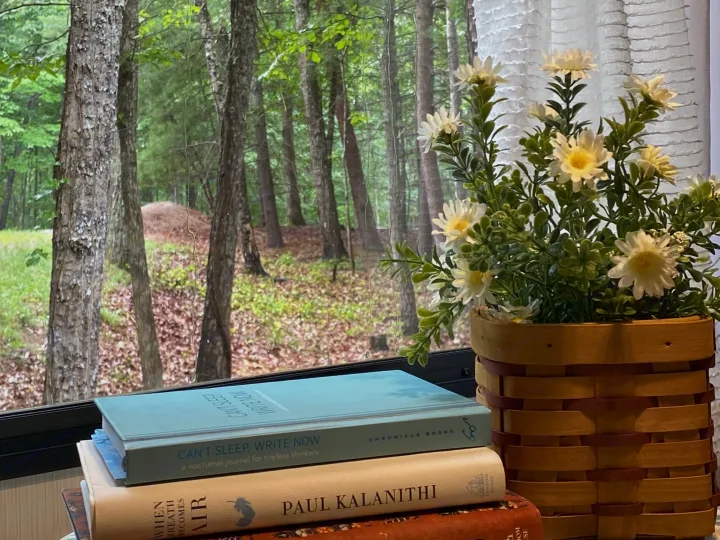 A cozy RV rental interior with books like "When Breath Becomes Air" and flowers, offering a serene forest view.. Forest River Vibe 2021