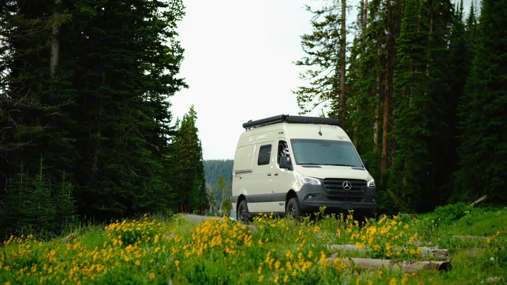 Explore nature with this rv rental! A cream Mercedes Sprinter camper van in a vibrant field of yellow wildflowers and evergreen forest.. Mercedes Winnebago 2024