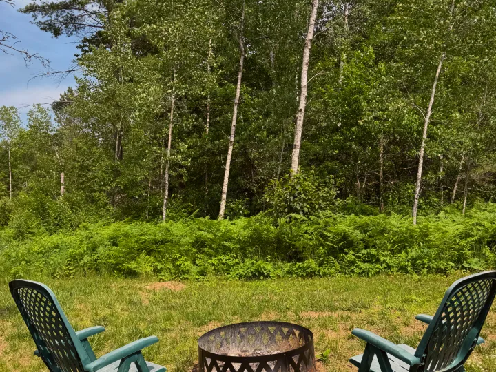 Relaxing campfire spot with Adirondack chairs & forest views, perfect for your RV rental getaway.. Forest River Wildwood FSX 2026