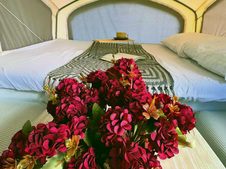 This cozy RV rental features a bed, patterned blanket, reading nook with a cup, and vibrant dark red flowers in the foreground.. Sportsmen Classic 2014
