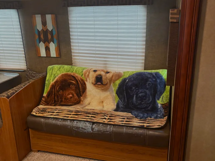 RV rental interior featuring a charming blanket with three Labrador puppies on worn brown leather seating, complemented by wooden decor.. Starcraft AR-One Maxx 2016