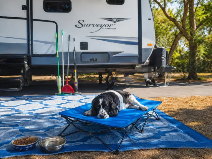 Dog rests on a blue bed outside a Surveyor RV rental, with bowls & mat, enjoying a pet-friendly campsite.. Forest River Surveyor 2018