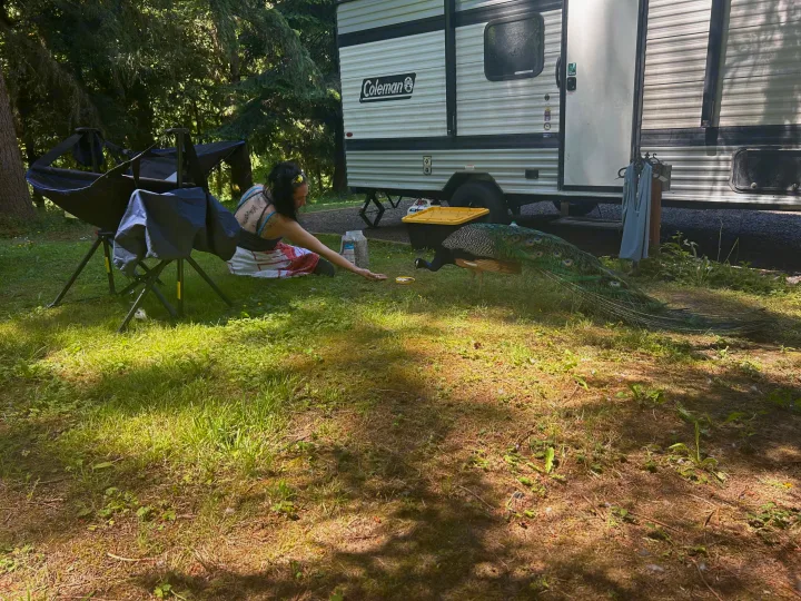 A woman extends her hand to feed a peacock next to a Coleman RV rental, enjoying a peaceful moment outdoors.. Coleman 17B 2025