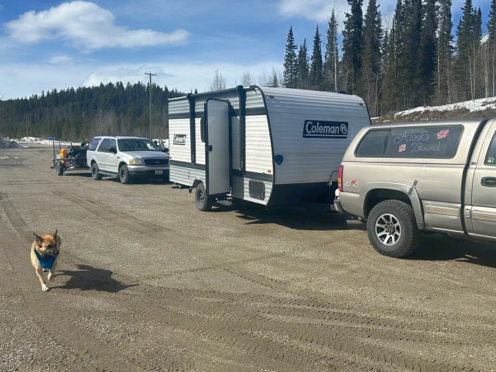 Dog on gravel near a Coleman RV rental, an "Alaska Bound" pickup, and an SUV with an ATV trailer, against a pine forest.. Coleman 17B 2025