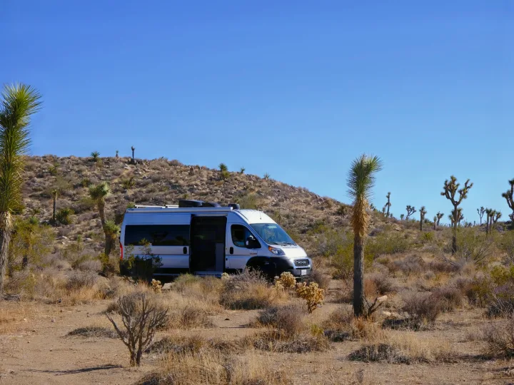 Silver RV rental van parked in a sunny desert landscape with Joshua trees and rocky hills under a clear blue sky.. Thor Sequence 2022
