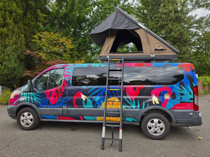 Vibrant flamingo campervan with rooftop tent available for rv rental, parked outdoors amidst trees.. Ford Transit 2017
