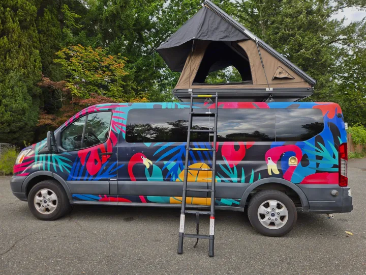 Colorful flamingo-themed RV rental with a pop-up roof tent & ladder. Your unique camper van adventure awaits!. Ford Transit 2017