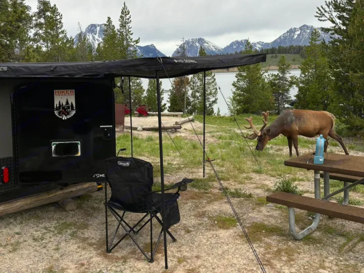 An elk grazes peacefully at a stunning RV rental campsite, featuring a camper trailer, majestic mountains, and a serene lake.. Hiker 5x8 Highway Deluxe 2025