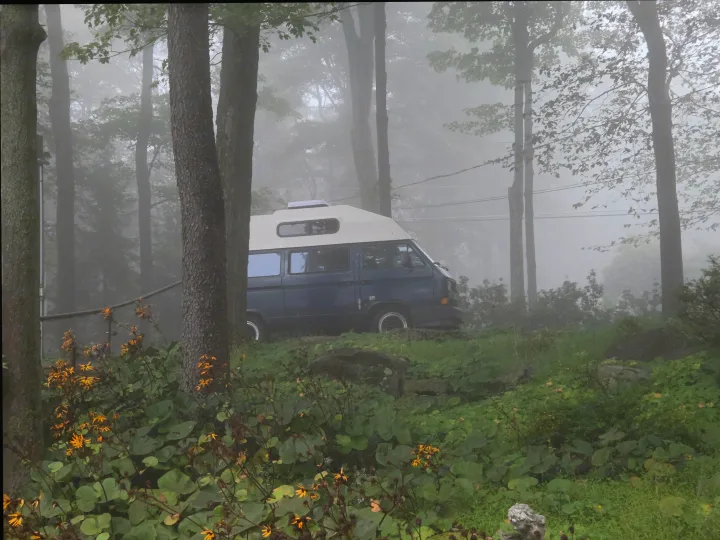 Experience a foggy forest getaway! This blue camper van RV rental, with a white pop-top, is nestled among trees and yellow flowers.. Volkswagen Vanagon 1990