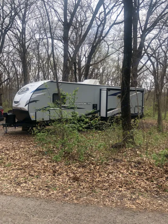 Forest River Cherokee Alpha Wolf 2022
