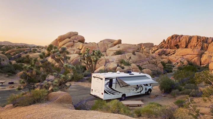 Entegra Coach Odyssey 2020