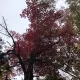Review photo 1