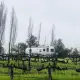 Foto de la valoración 1