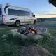 Foto 1 überprüfen