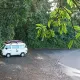 Review photo 1