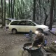 Foto 4 überprüfen