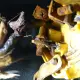 Review photo 3