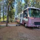 Review photo 1