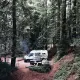 Foto 1 überprüfen