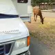 Foto 1 überprüfen