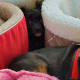 Review photo 2