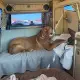 Foto 1 überprüfen