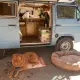 Foto 2 überprüfen