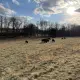 Foto 5 überprüfen