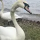 Foto 2 überprüfen
